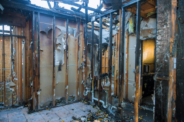 Professional Emergency Fire Cleanup technician working in Pine City, MN